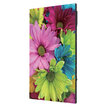 EGO Display EasyPRO-P2.5 EASYPRO-P2.5